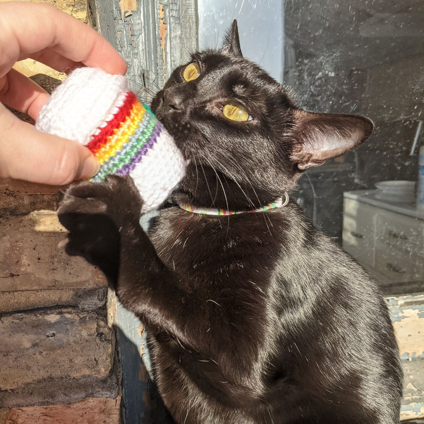 Rainbow Catnip Latte Cat Toy with Rattle