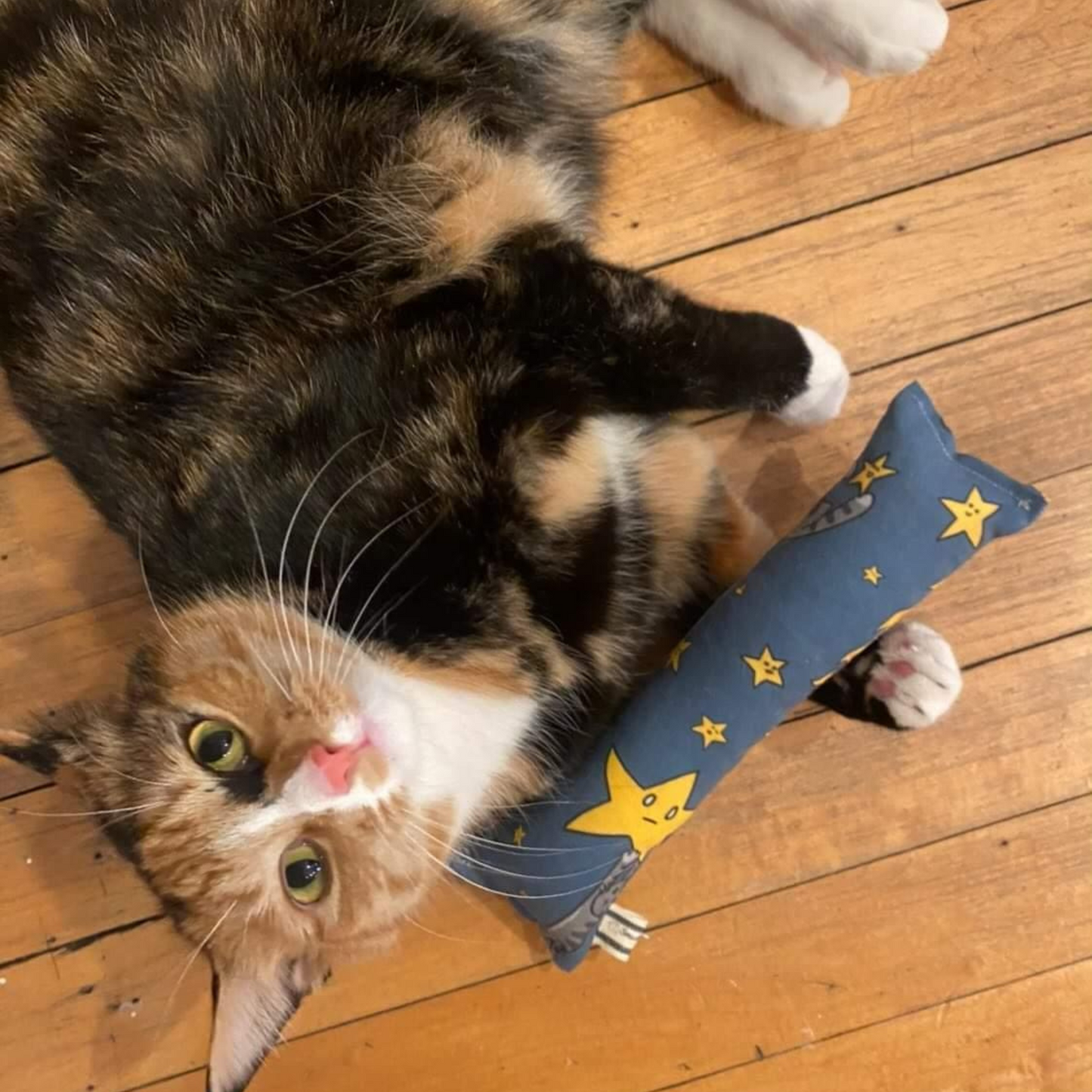 Refillable Space Cats Catnip Kickstick Cat Toy