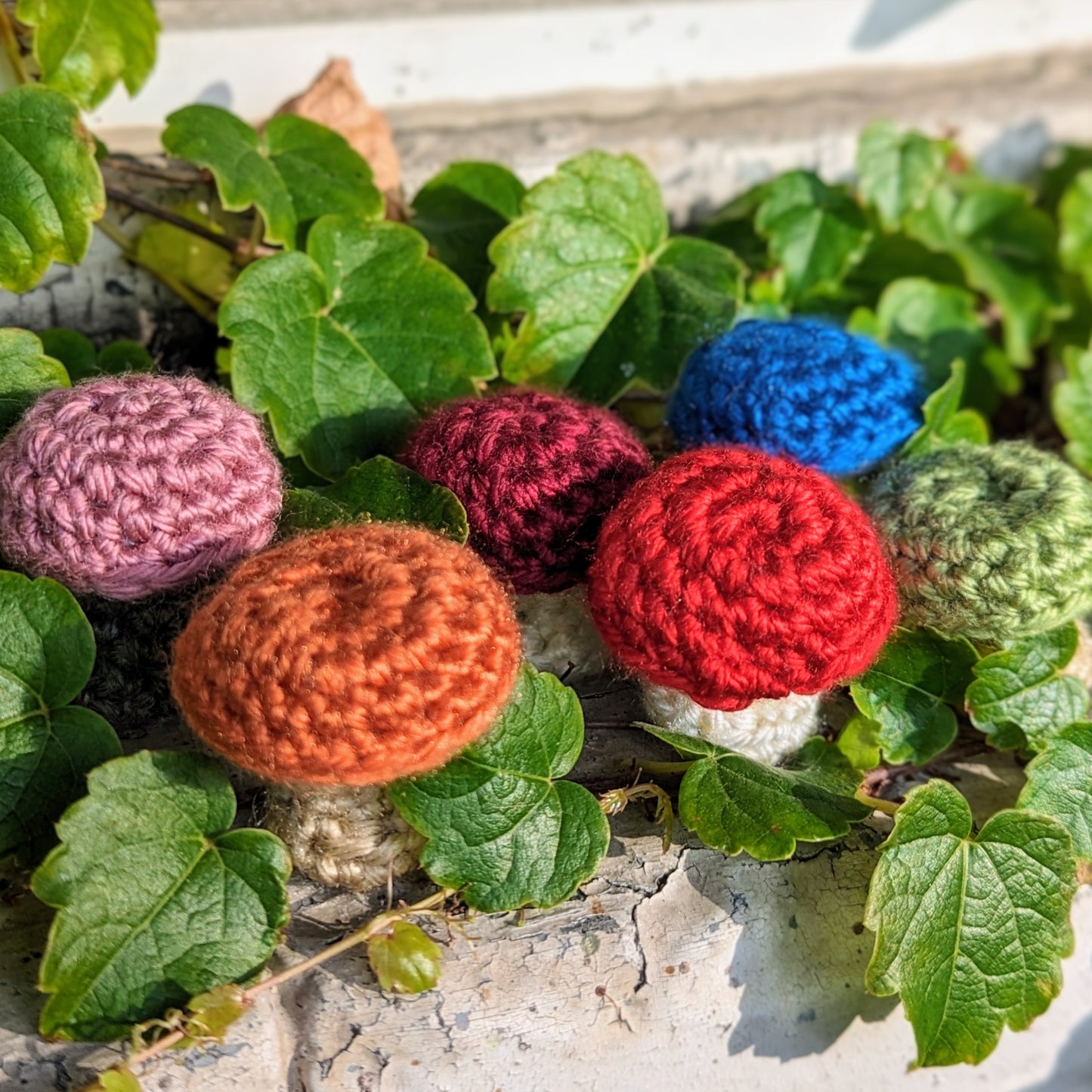 Meowshroom Magic Catnip Toy