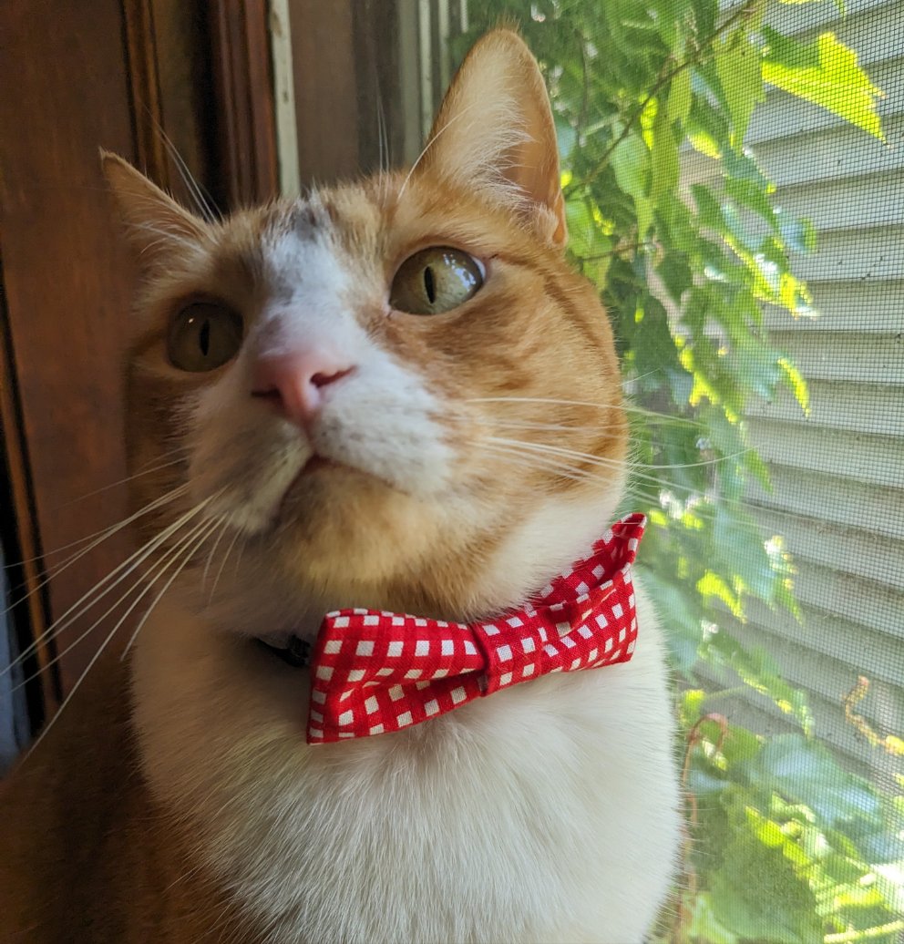 Red Plaid Print Pet Bow