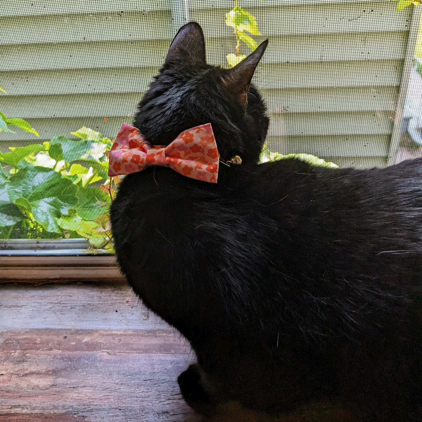 Mod Floral Print Pet Bow