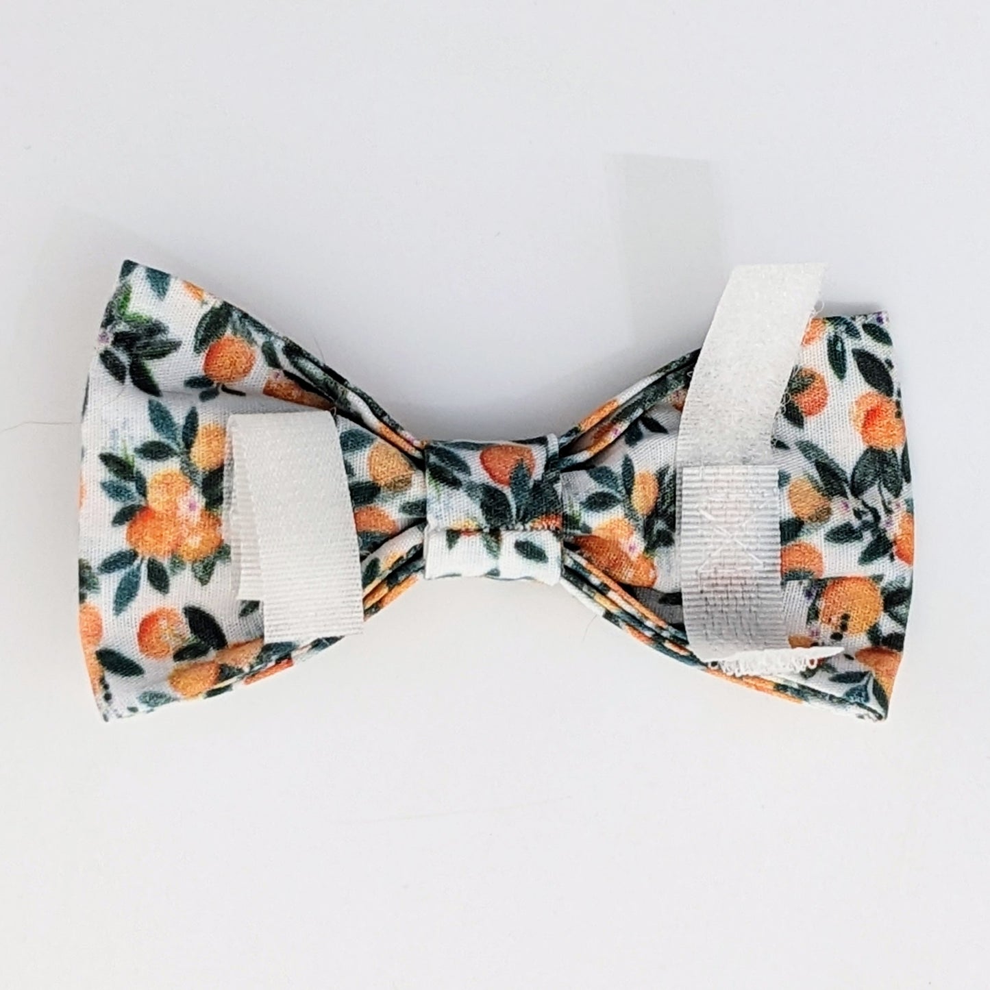 Oranges Print Pet Bow