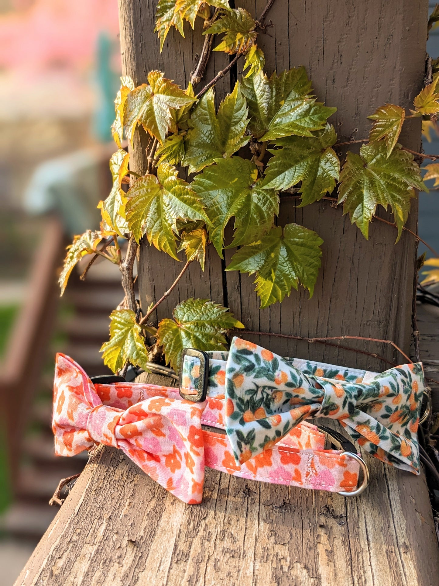 Mod Floral Print Pet Bow