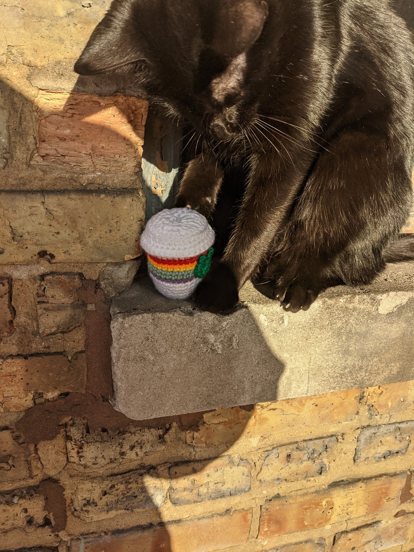 Rainbow Catnip Latte Cat Toy with Rattle