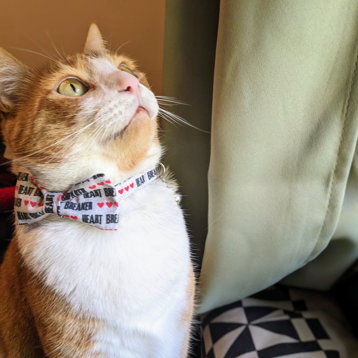 Heart Breaker Print Cat Collar,  Breakaway Safety Collar