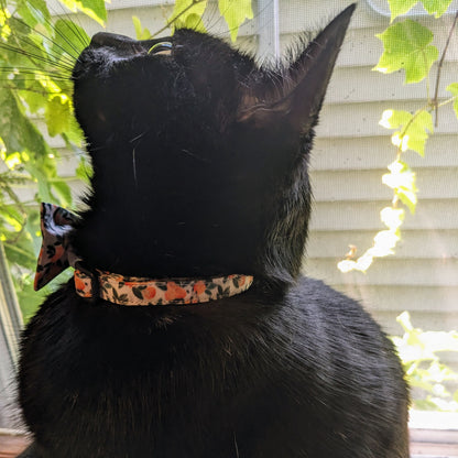 Oranges Cat Collar, Breakaway Safety Collar