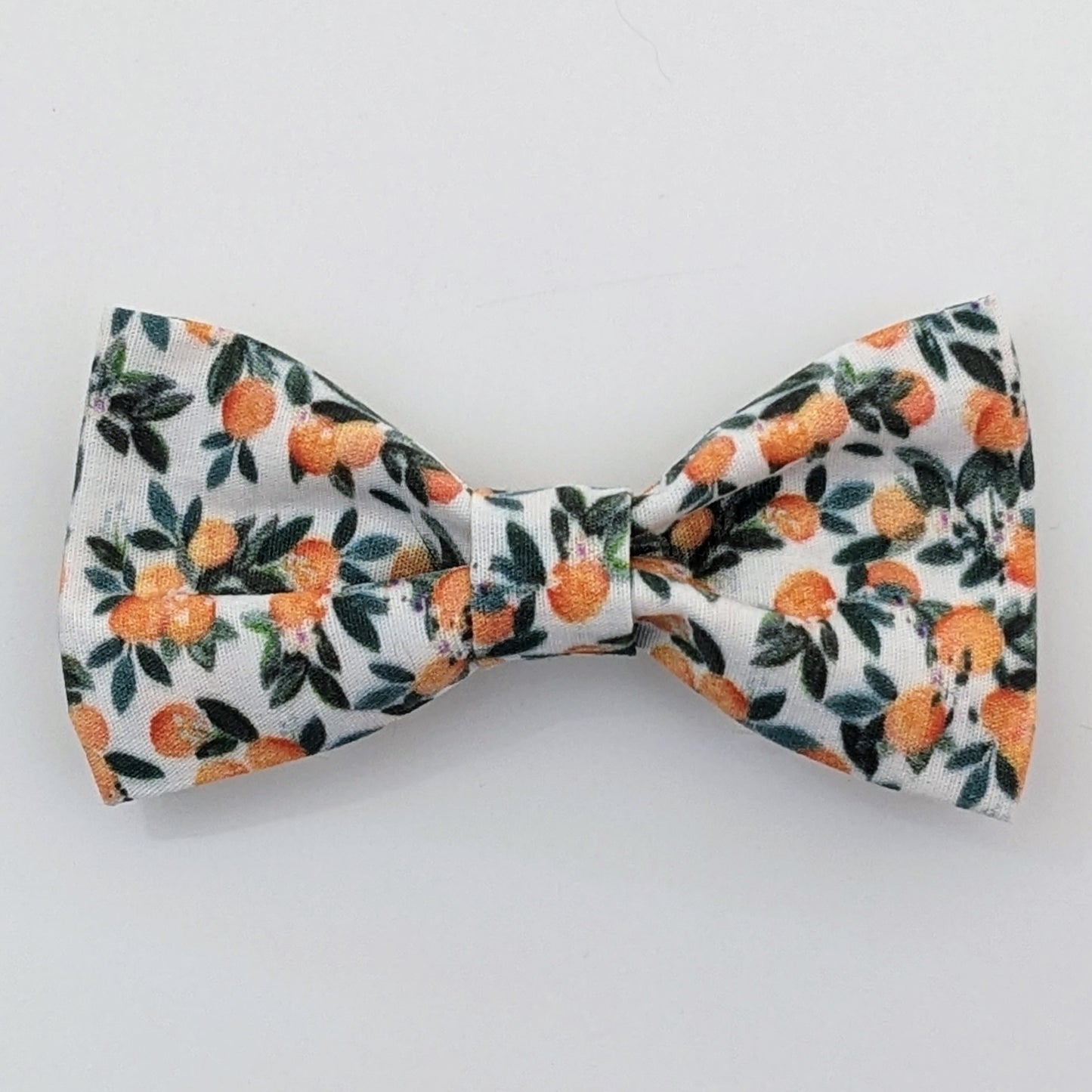 Oranges Print Pet Bow